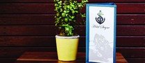 Hotel Steyne image