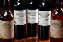 Mount Pleasant Image