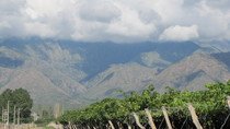 San Huberto 1