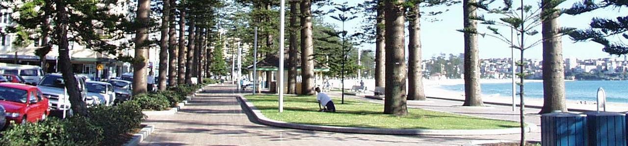Photo of Manly Beach shoreline