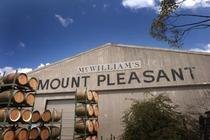 Mount Pleasant image